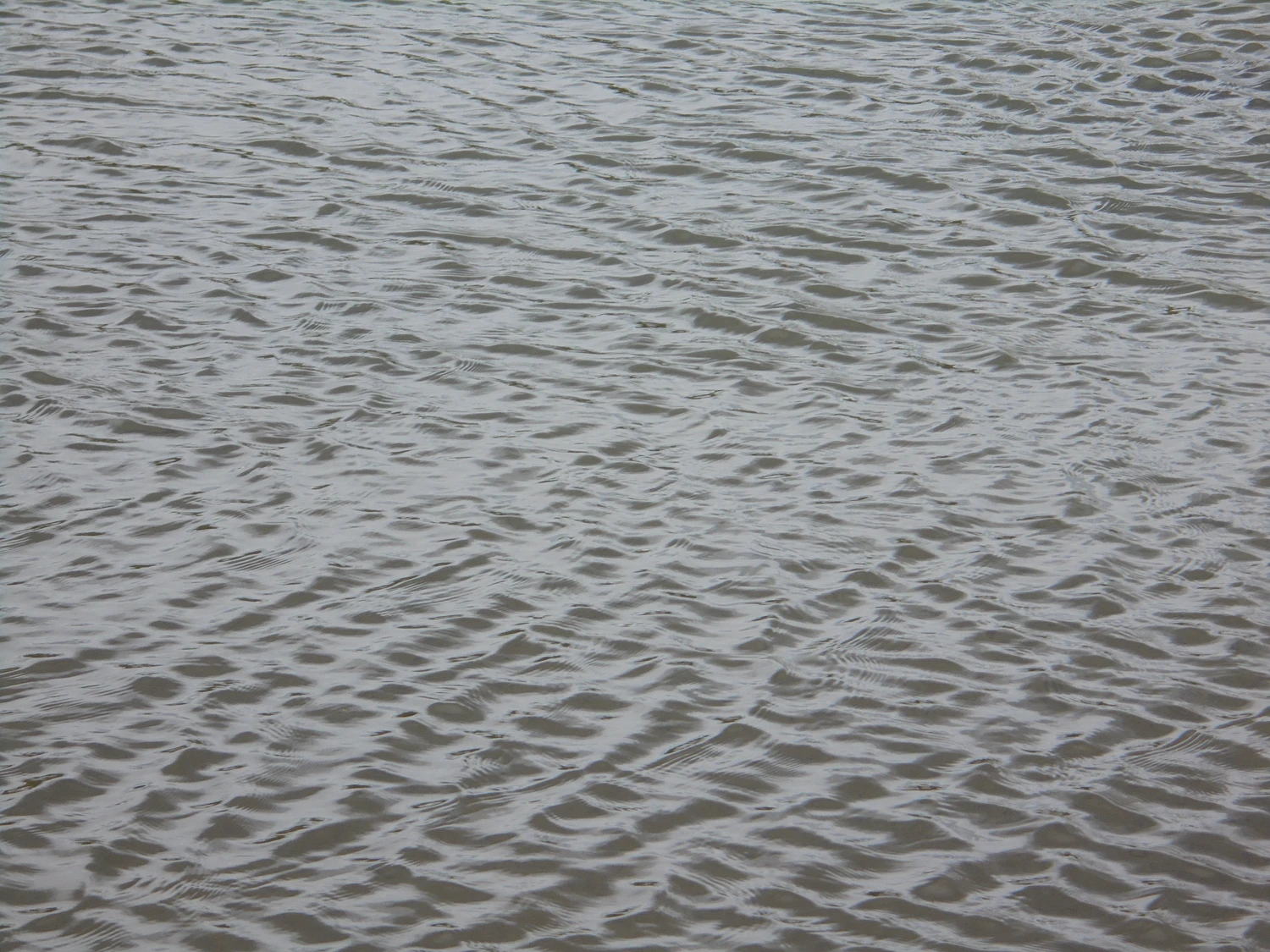 Wasser_web